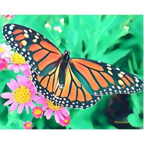 "Monarch and Coneflowers"  Canvas Art Print